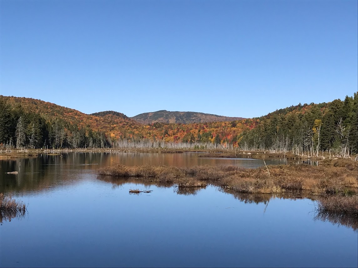 Spring Lake, Maine Vacation real estate for sale Log Cabin on