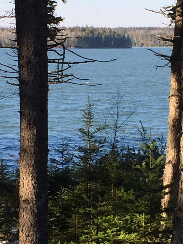 milbridge, Maine Vacation real estate for sale 1.75 acres waterfront