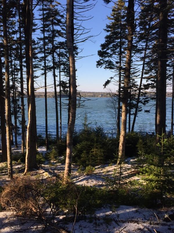 milbridge, Maine Vacation real estate for sale 1.75 acres waterfront