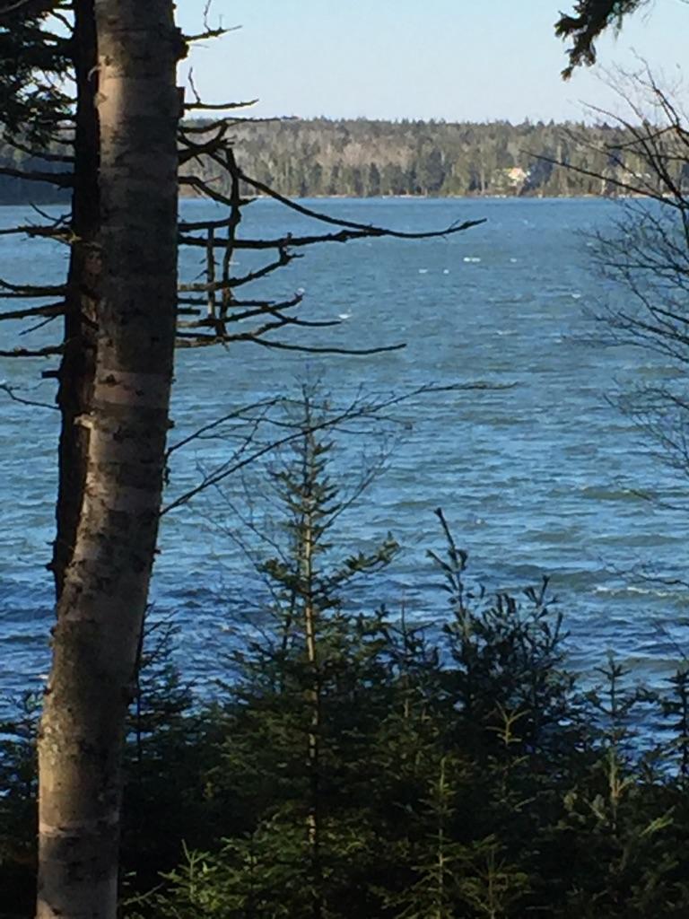 milbridge, Maine Vacation real estate for sale 1.75 acres waterfront land on Bar Island in