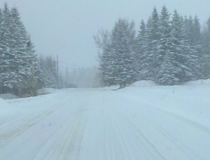 301 Moved Permanently