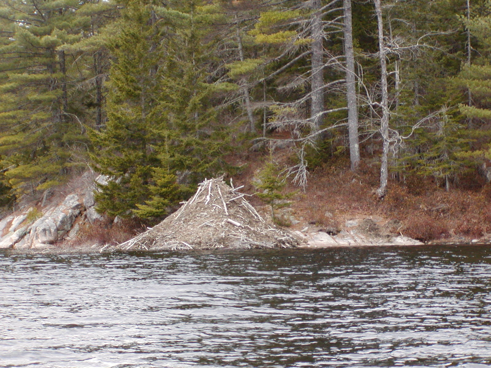 Marshfield, Maine Vacation real estate for sale PRICE REDUCED 2