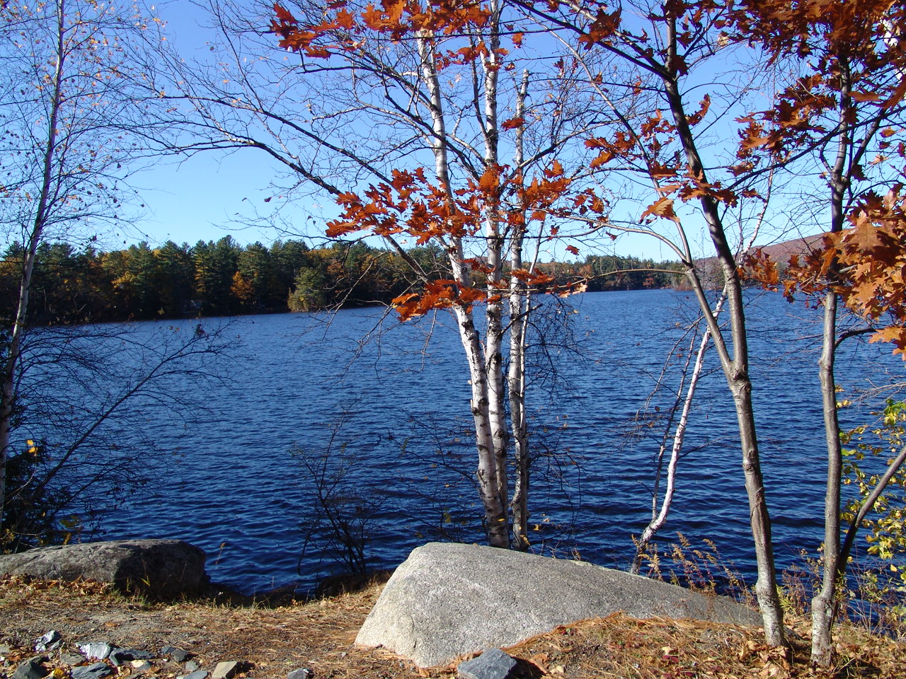 301 Moved Permanently