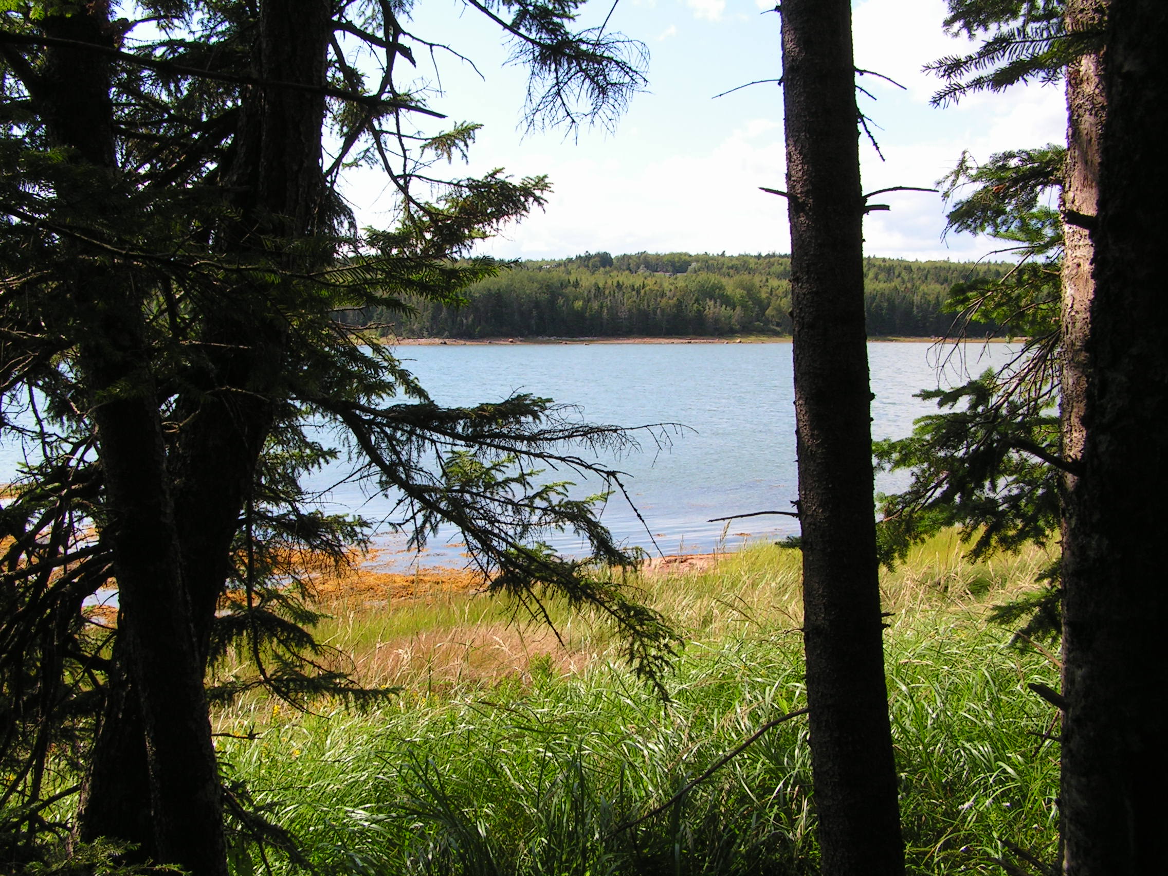 Steuben, Maine Vacation real estate for sale Large Pinkham Bay