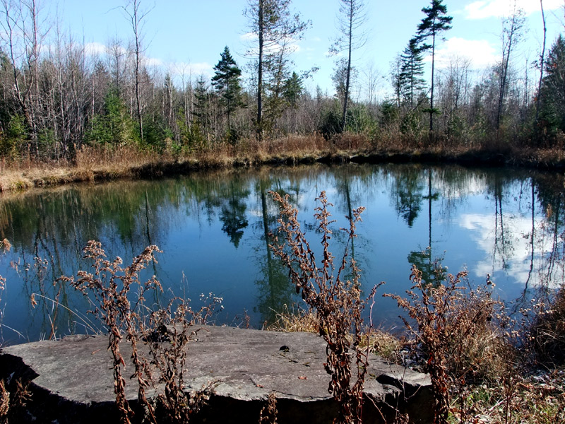 301 Moved Permanently