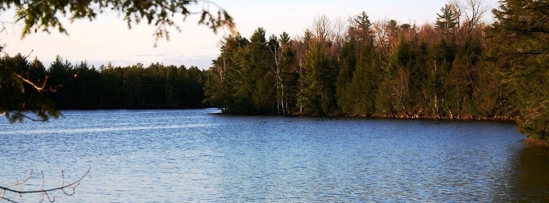 Maine Real Estate For Sale Including Cottages Land For Sale By